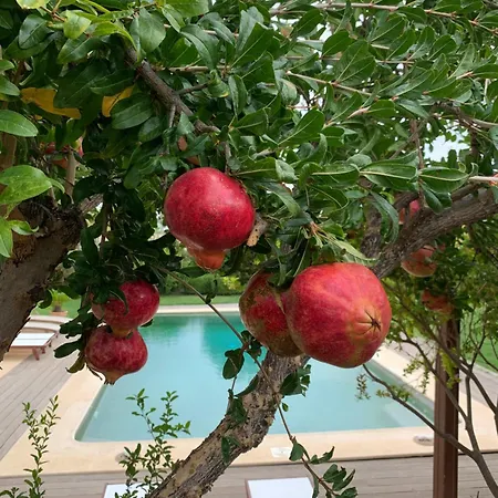 Luxury Maisonette With Pool Pallini (East Attica)